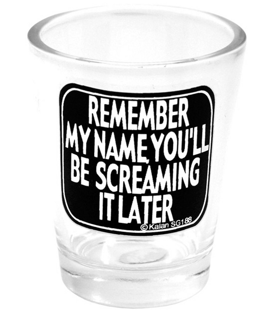 Remember My Name You'll Be Screaming It Later Shot Glass